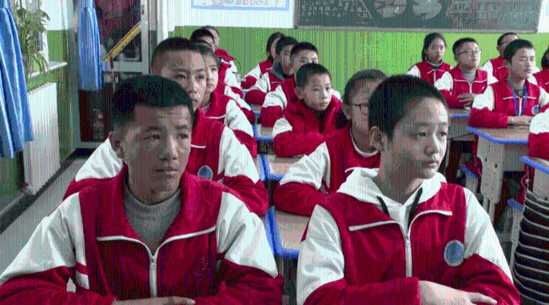 猫猫冒险团