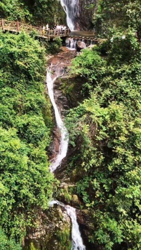 救援花栗鼠